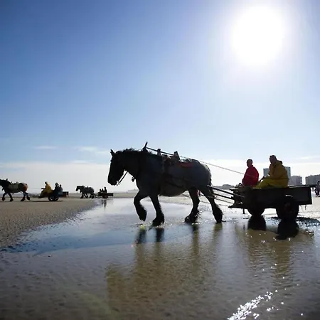 Near Sandy In Belgium, Cleaning Included * Nieuwpoort