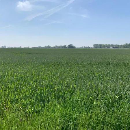 Apartament Near Sandy In Belgium, Cleaning Included