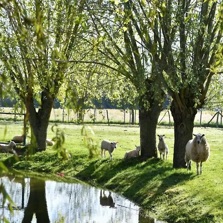 Apartament Near Sandy In Belgium, Cleaning Included Nieuwpoort