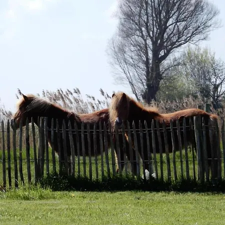 Near Sandy In Belgium, Cleaning Included 公寓